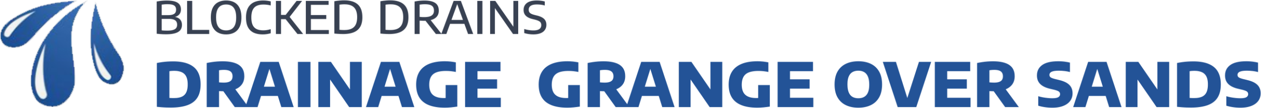 website logo
